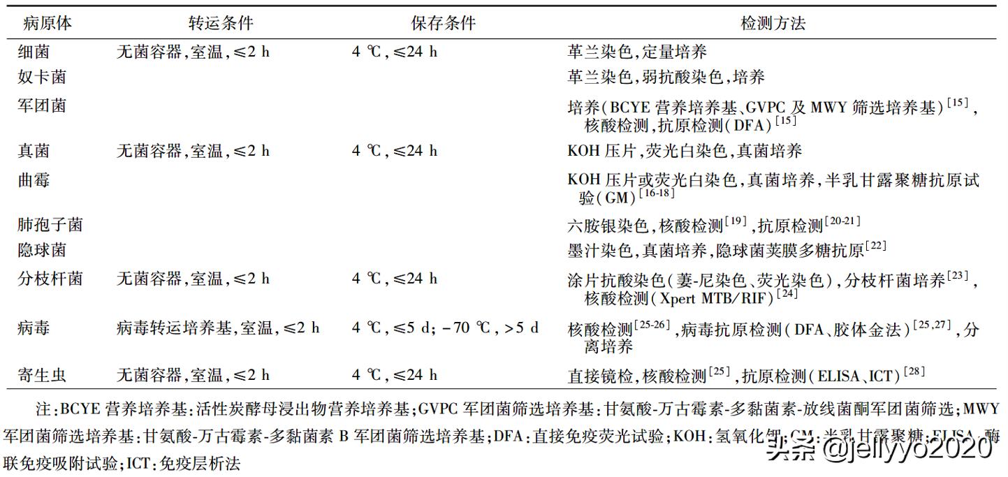 支气管镜灌洗和肺泡灌洗一样吗,支气管肺泡灌洗术示意图