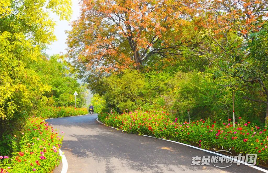 美丽中国中国篇,美丽中国双碳有我主题范文800字