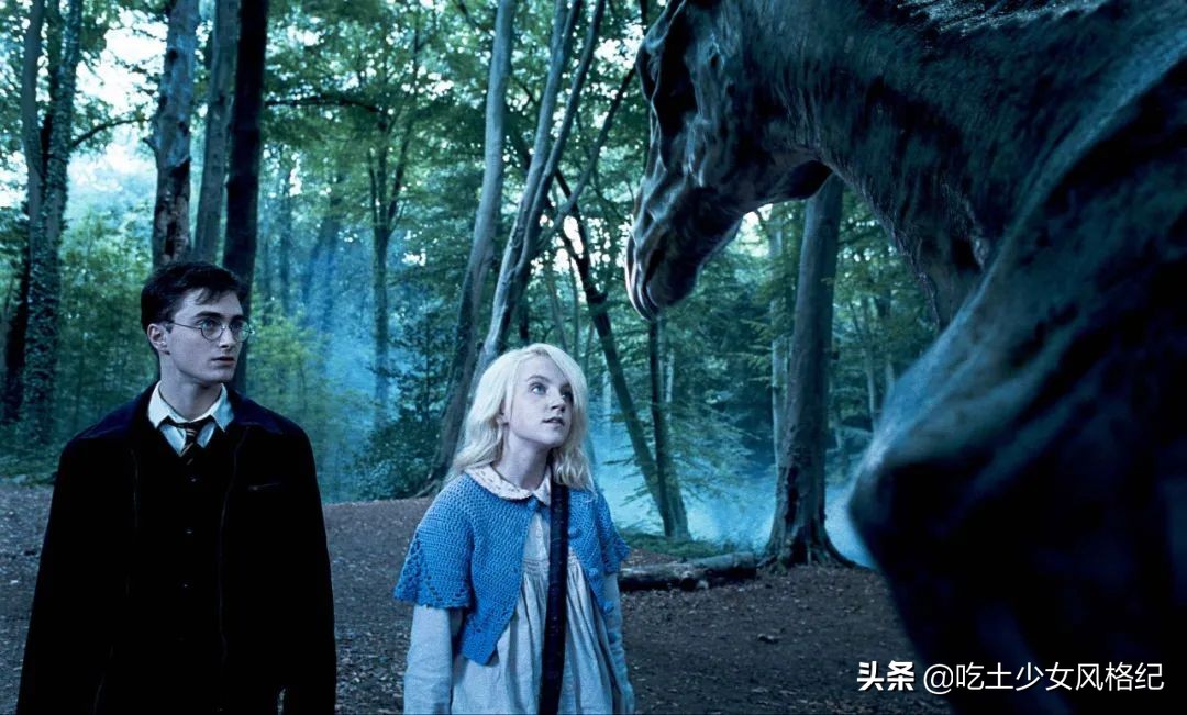 哈利波特四十岁生日的样子,哈利波特十九年后