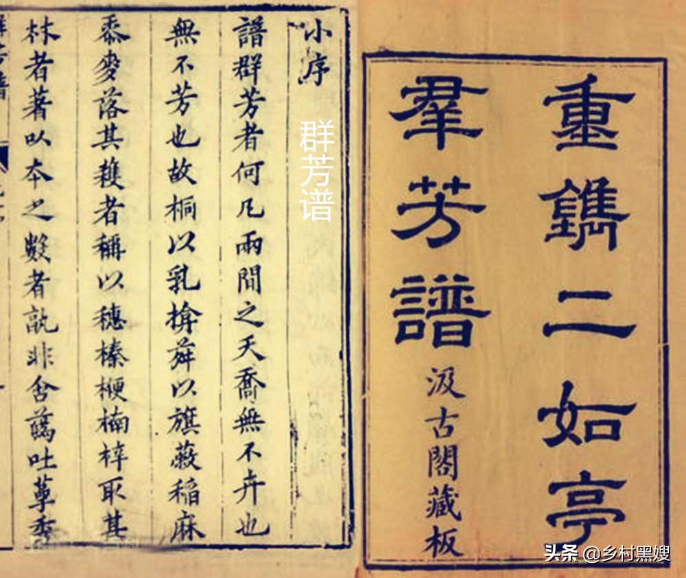 小麦是怎么生长的视频,小麦的起源与发展历史是怎样的