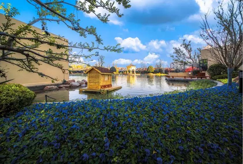 洛阳恒大绿洲精装修河景房,洛阳恒大绿洲花园洋房