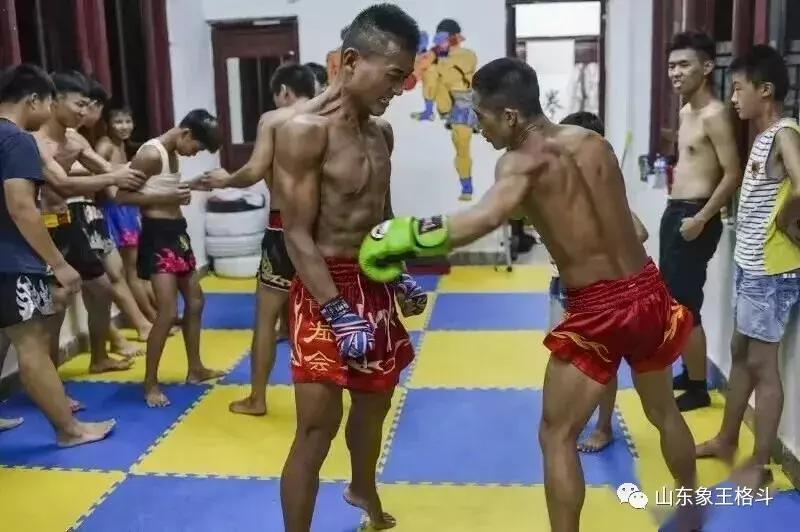 什么是努力人生,什么是努力的人生