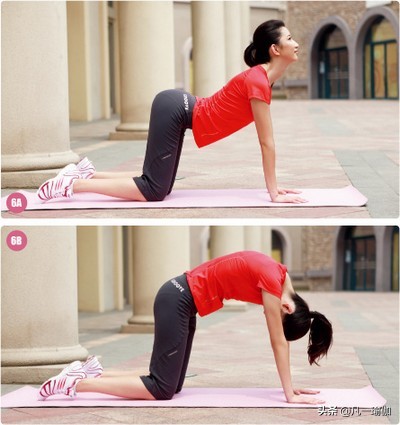初学瑜伽入门必练的动作,瑜伽初学者入门必练8个动作