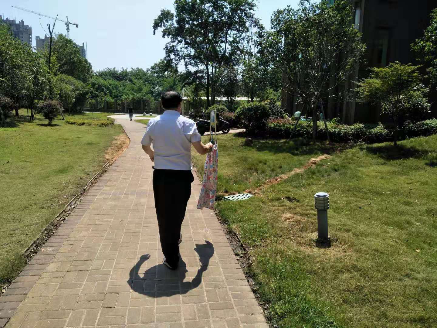 “泰弘进一品、处处显美景