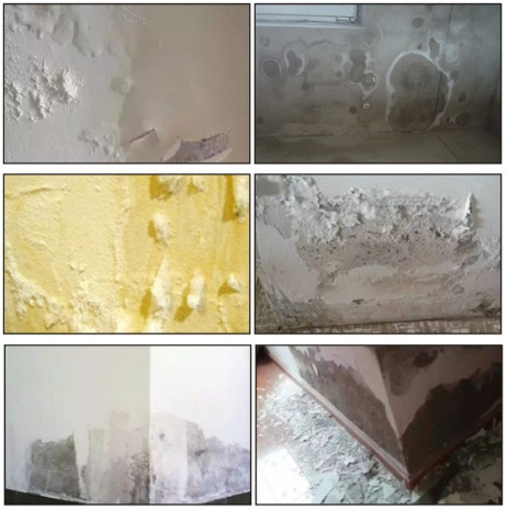 高温天气霉菌怎么处理,南方回南天除湿除霉