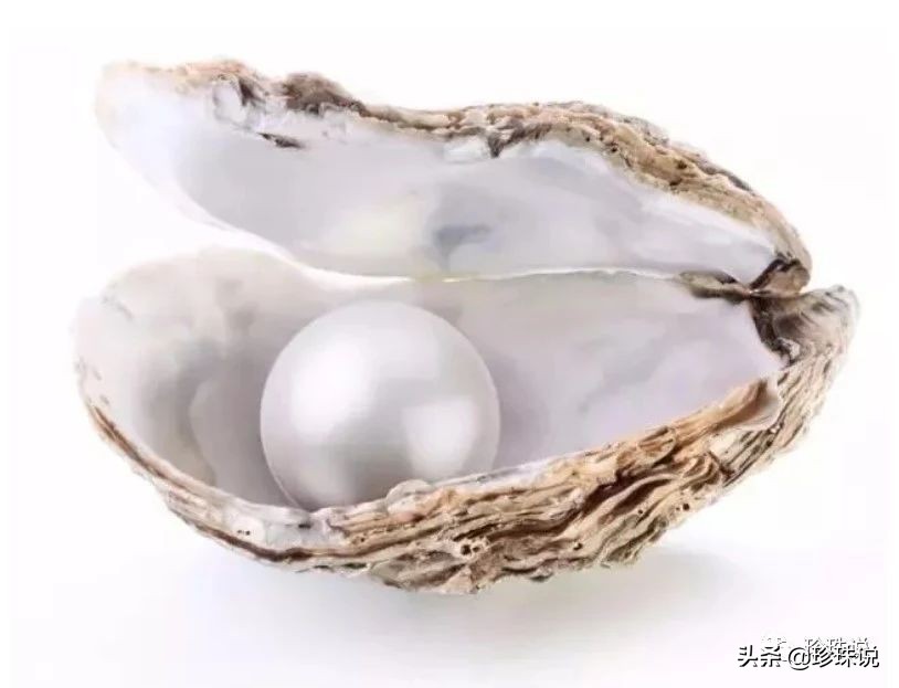 灼灼夏日，你的美丽与珍珠更相配