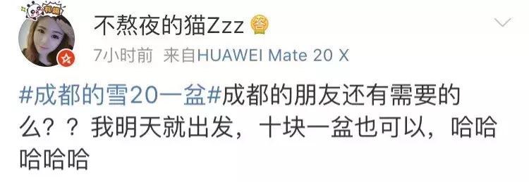 成都雪人卖15元一个,成都卖雪人15块1个