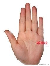 看手相学习好看哪根线,教你看手相百分之百准确
