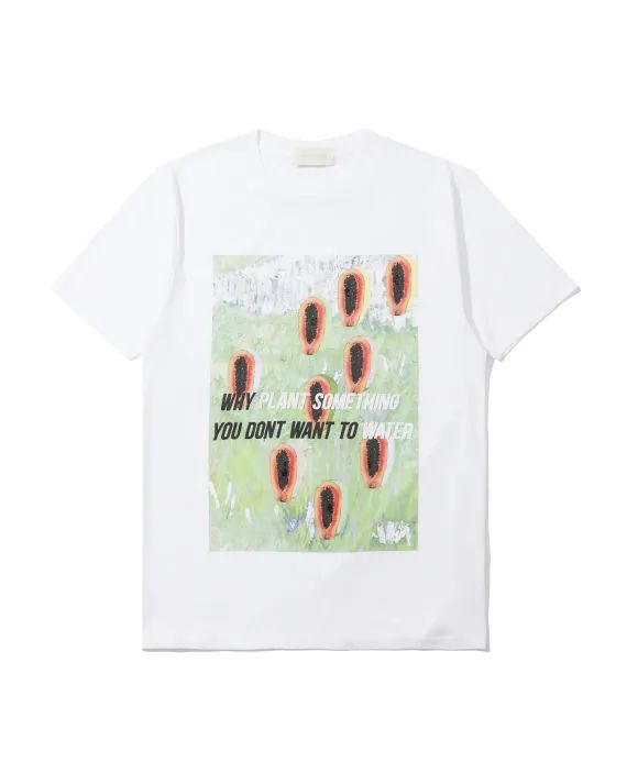 如果说夏天是水果味儿的，哈卷第一个赞成