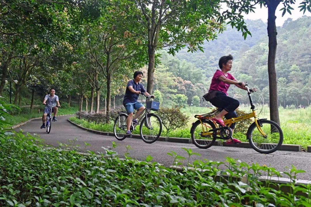 家门口的健身场地正式投入使用,家门口健身有了好去处