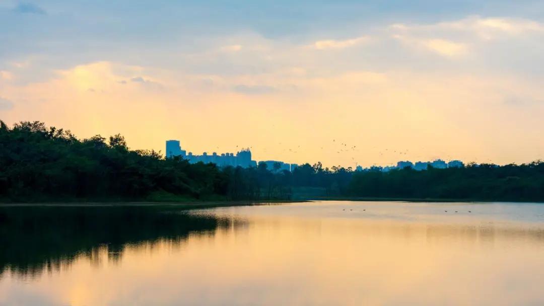 成都青龙湖哪里最好,成都青龙湖最新游玩视频