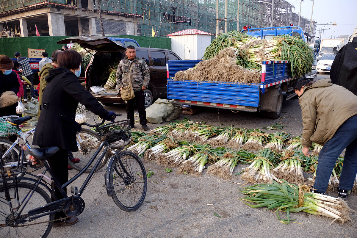 保存大葱不空心不黄叶的好方法,大葱怎样保存不干而不烂
