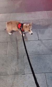 捡到了u盘里面会有什么,捡到一个u盘还好没有用