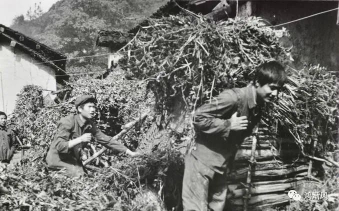 柴火不熄，冬天的温暖记忆。