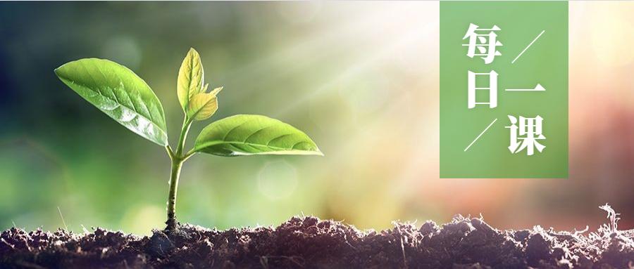 word插入图片技巧2张图片并排,word插入图片技巧