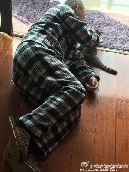 冲动下养猫，你和你的猫现在是怎样的生活？