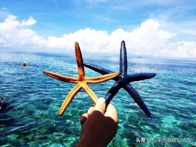 风下之乡海鲜,风下之乡