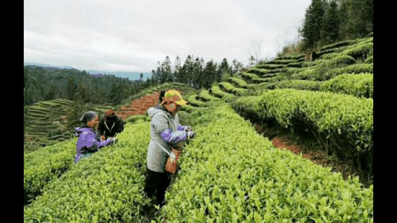 三江旅游攻略三天,扩散景区