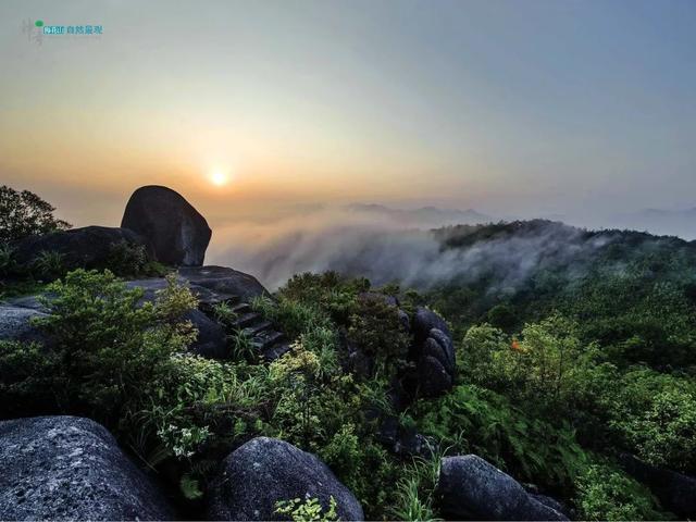 清新优雅空气新鲜是休闲的好地方,龙岩静心的地方
