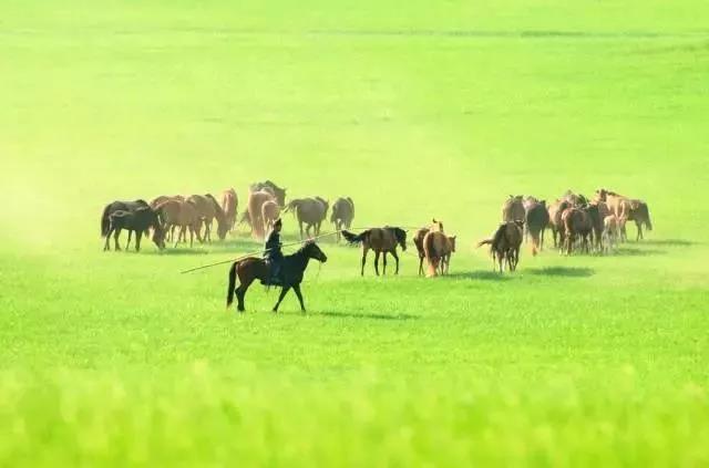 “口红一哥”李佳琦，旅行出门带哪只口红？
