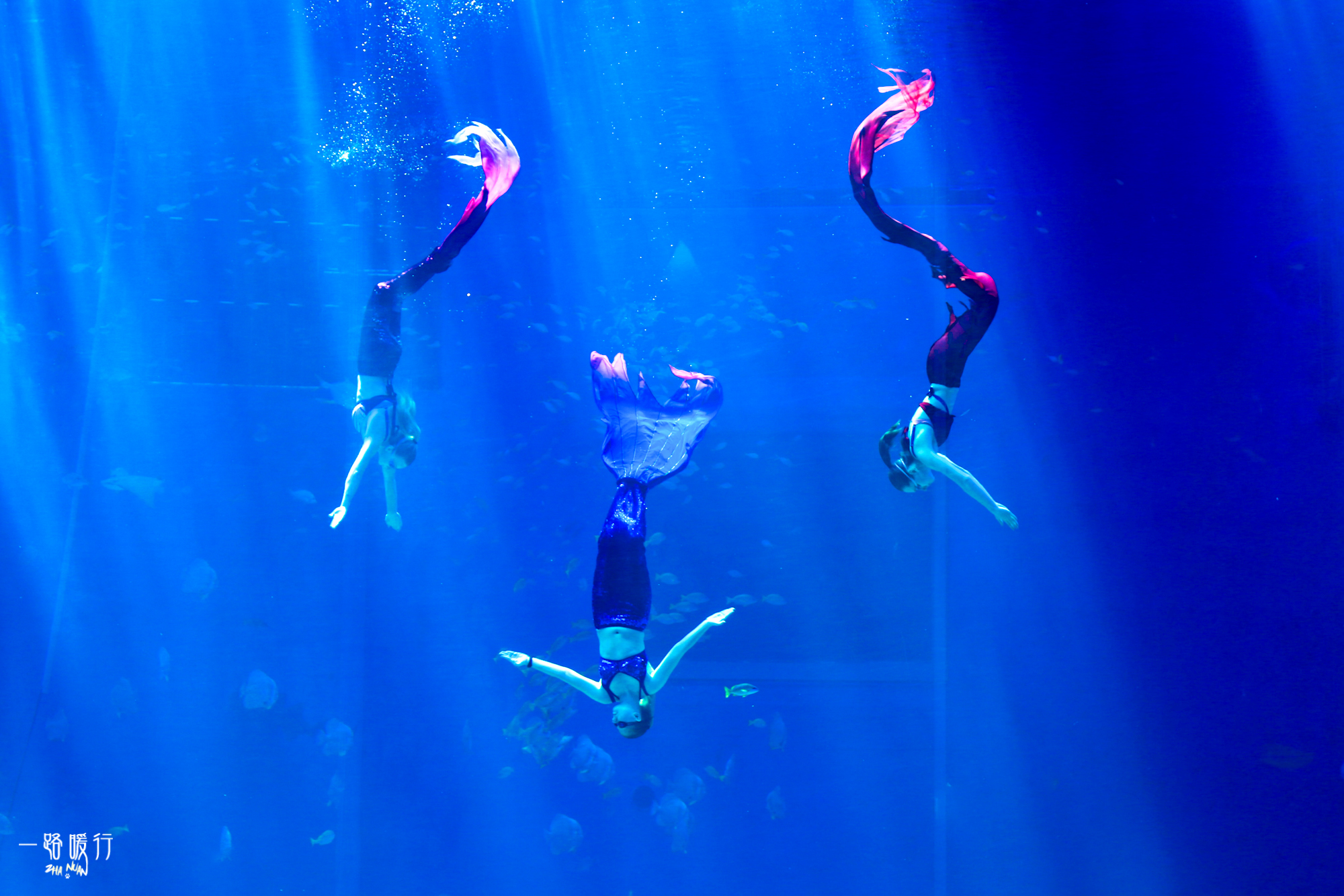 山东海滨之城是哪里,山东海滨城市景点