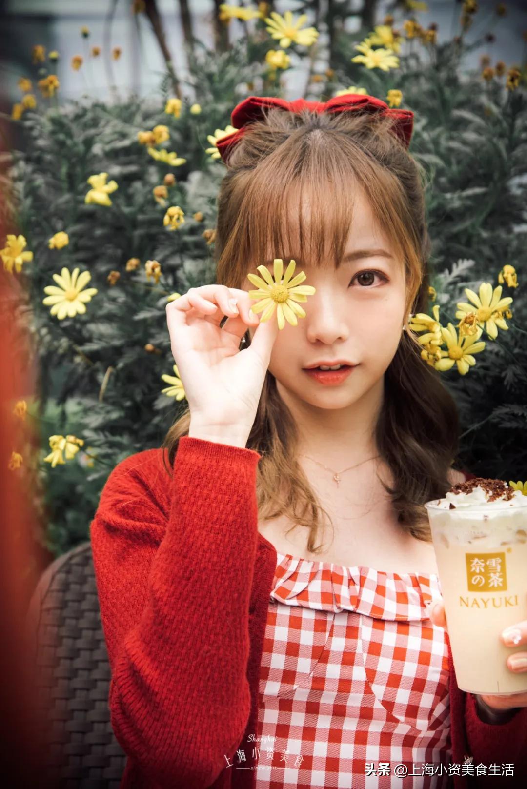 奶茶网红牛乳茶,奶茶各种网红饮品