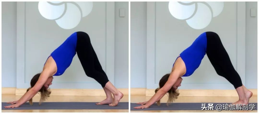 腿部经络疏通做什么瑜伽动作好,腿粗经络不通9个瑜伽动作经常练