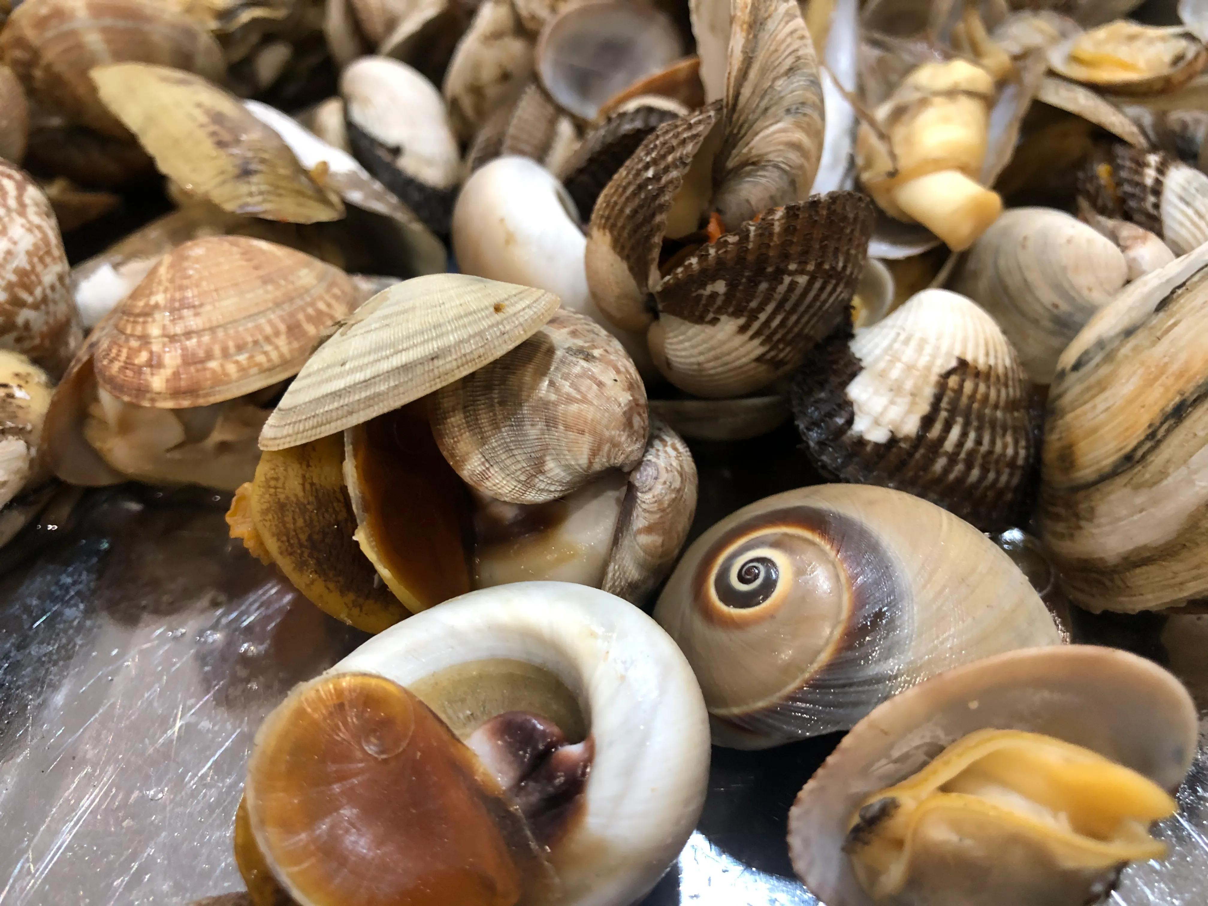 在山东有一种炫富叫开海,有种炫富叫青岛开海了