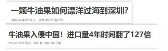 牛油果是怎样炒作起来的,牛油果好难吃怎么做才好吃