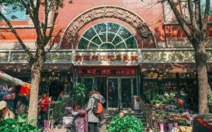 求求你，别再误会和平人了