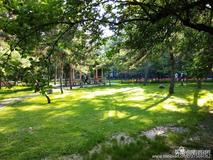 山西农大美丽的校园,山西农大校园风光