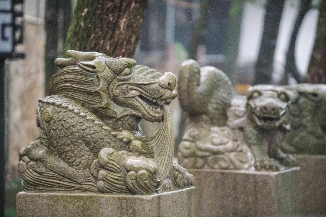 江南三大梅园,杭州江南三大梅花