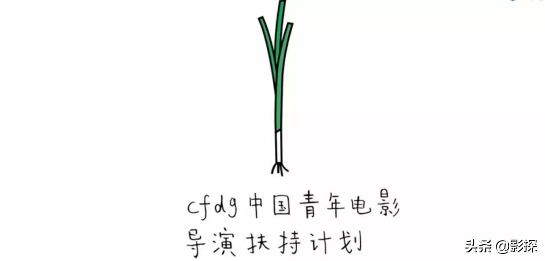 鍥戒骇鐢靛奖鑴戞礊澶ぇ,鍥戒骇鐢靛奖鐪熷績璇濆ぇ鍐掗櫓