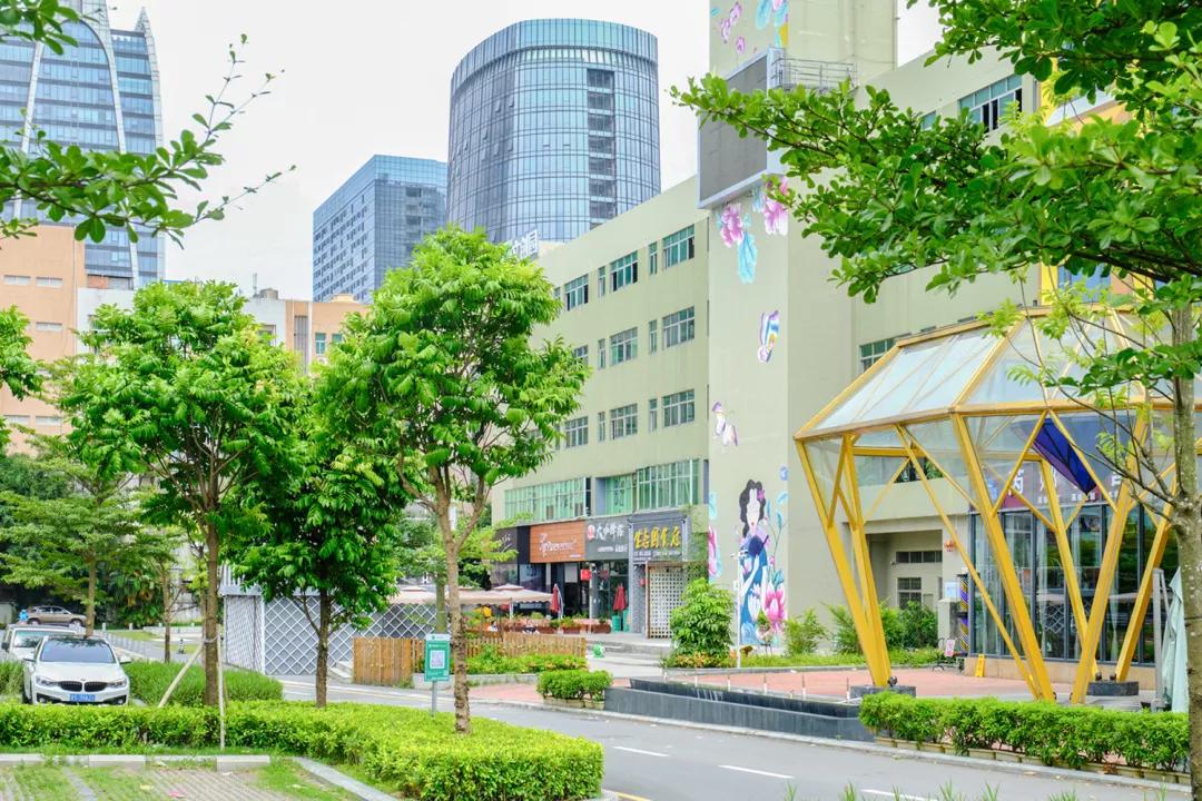 重庆轻轨10号线,10号线有什么玩的