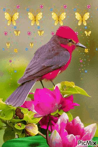 这是我见过最美丽的风景用英语,这是我见过最美的风景啥意思