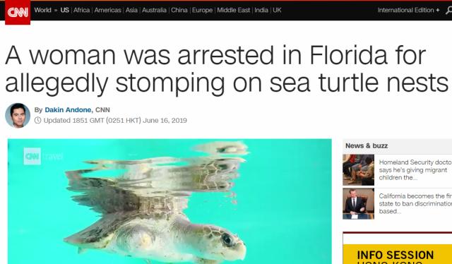 突发！彭于晏带违规水果过海关，被罚3000台币