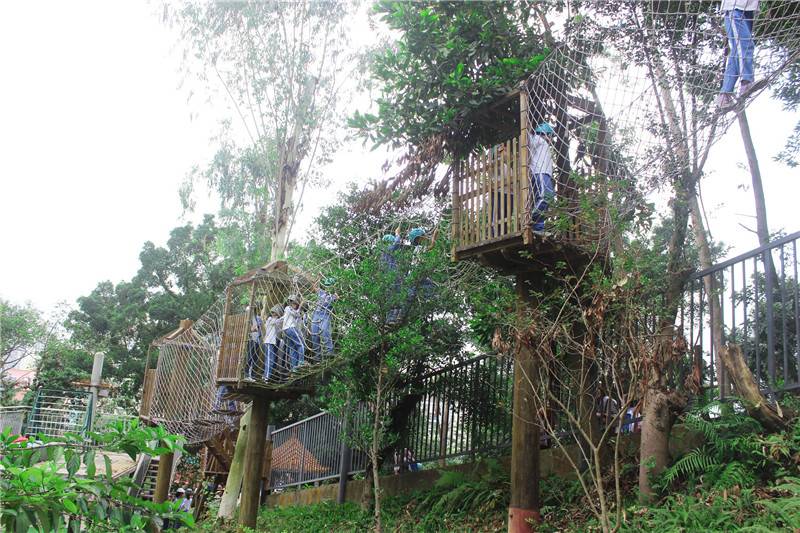 亲子户外丛林探险,儿童丛林探险地方