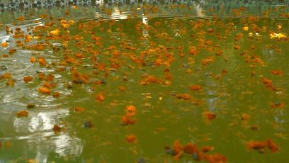 鍘﹂棬澶╂矏娓╂硥閰掑簵,鍘﹂棬澶╂矏娓╂硥鏅偣浠嬬粛