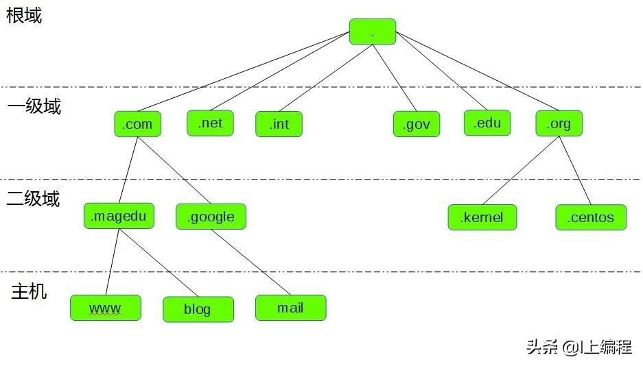 计算机网络dns怎么设置,计算机网络域名dns