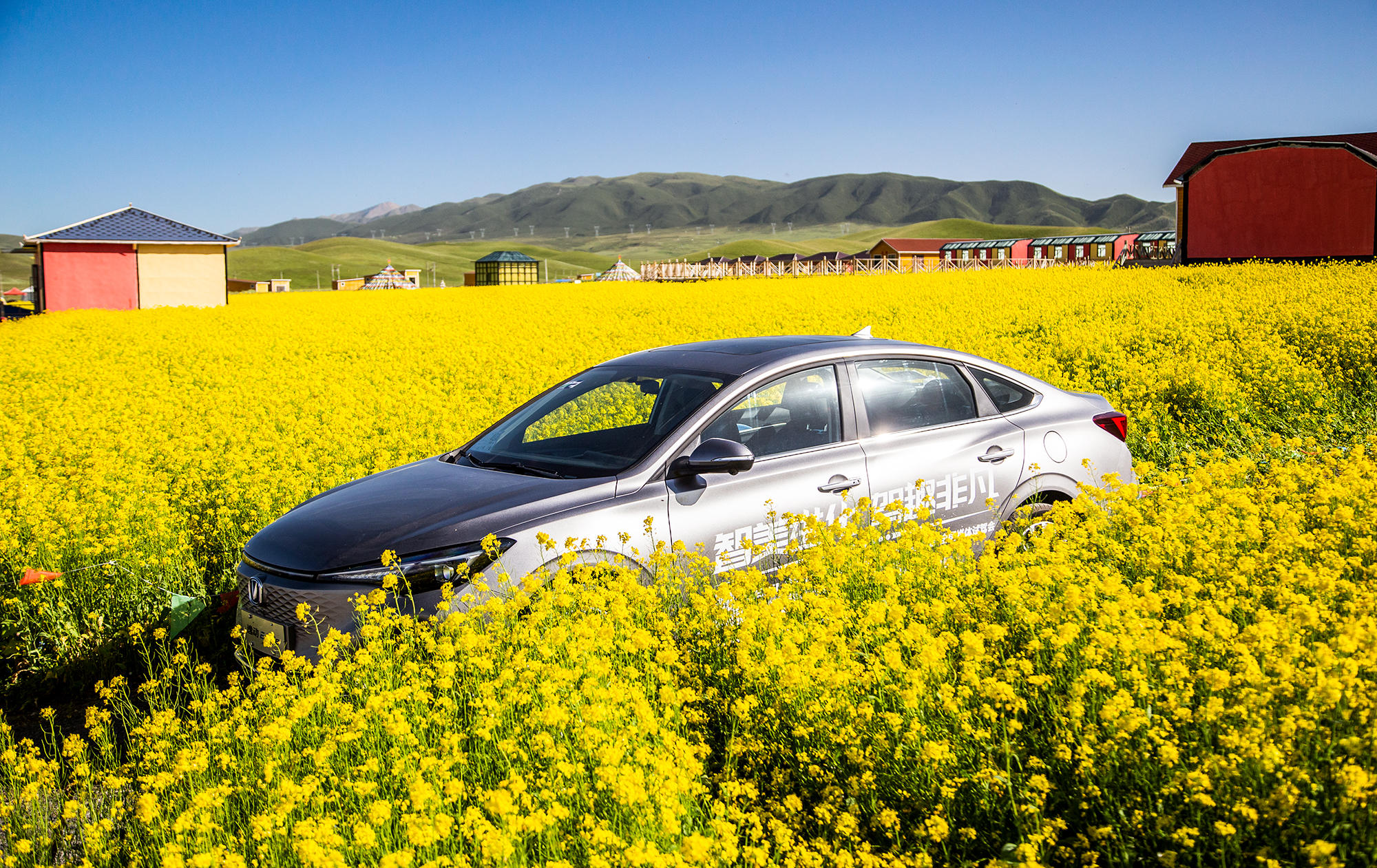 长安逸动plus高原测试,逸动高原试驾