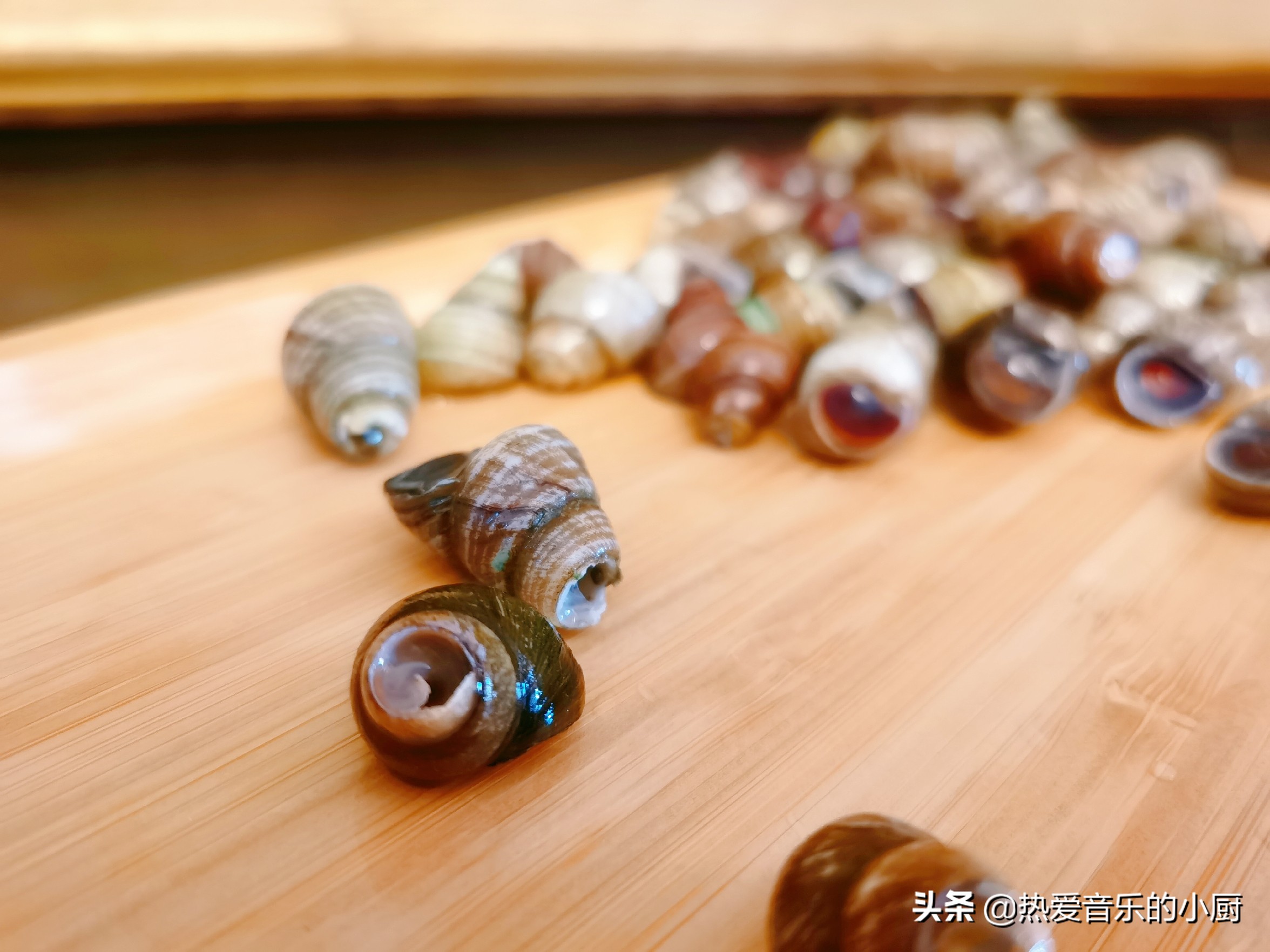 油焖田螺最正宗的做法,在家炒一份美味的田螺真的很简单