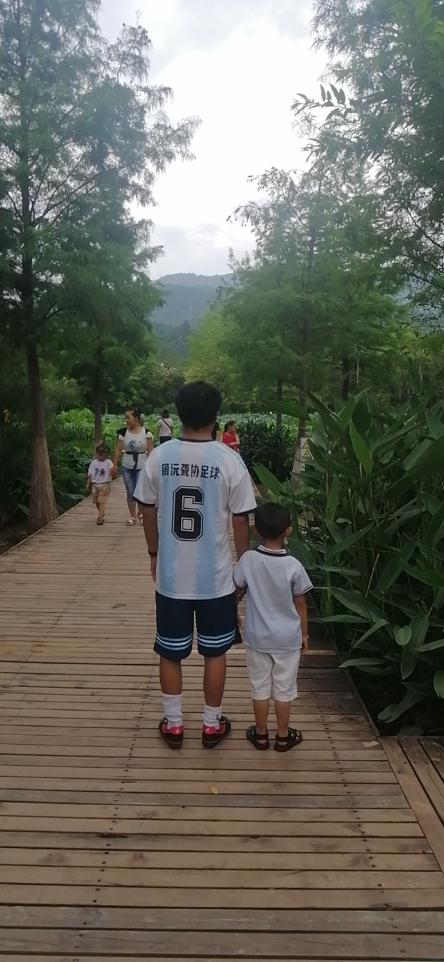 镇沅县排球比赛,镇沅县足球