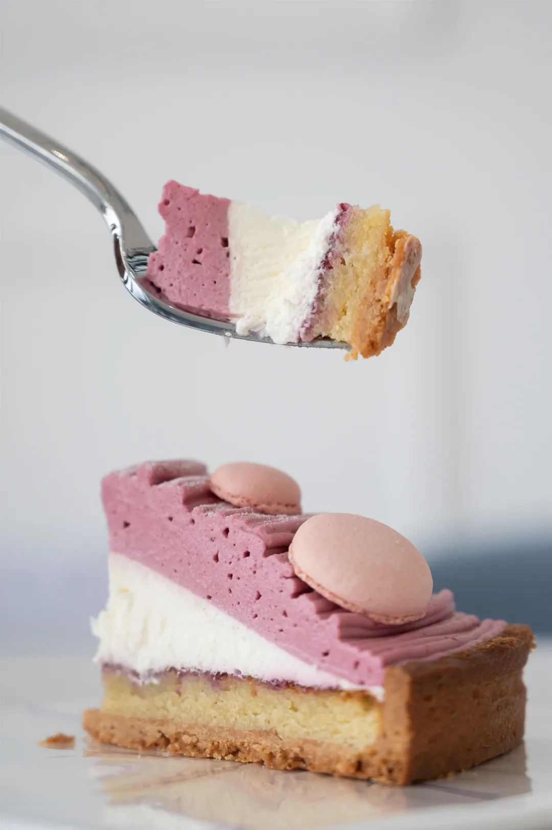 ladym款式,ladym新品牌