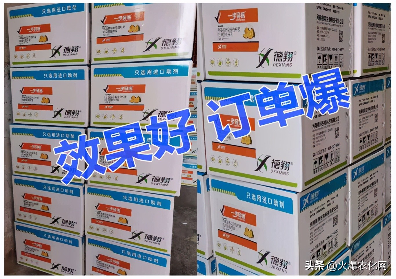 全面替代铜制剂！新一代“击溃爆品”！不伤花果！防治率高达96%