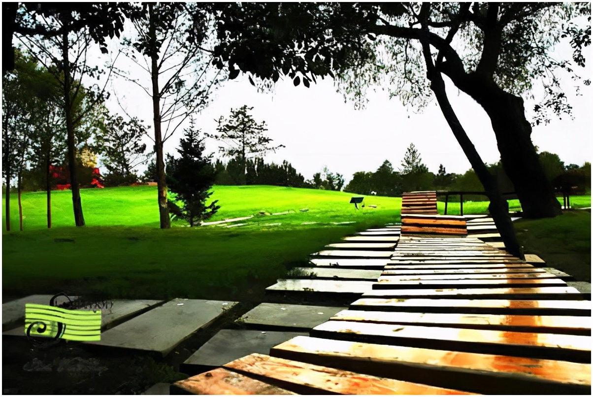 哈尔滨太阳岛冰雕,哈尔滨太阳岛雪景