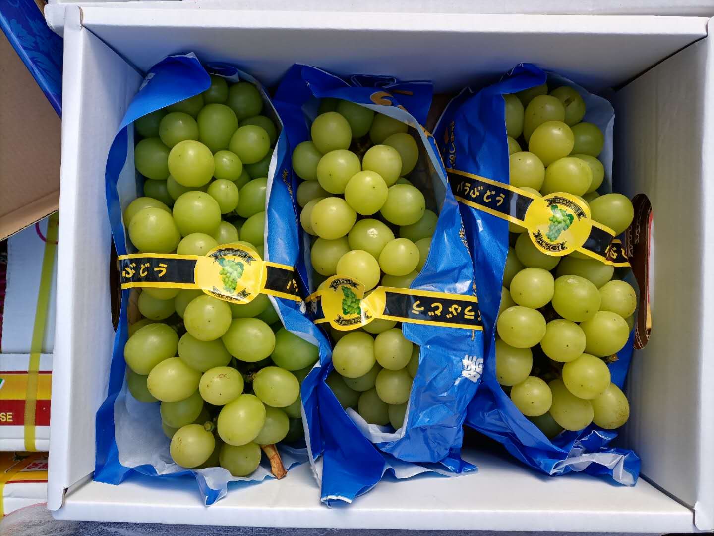 同型半胱氨酸高叶酸片怎么吃,同型半胱氨酸高怎么吃叶酸片