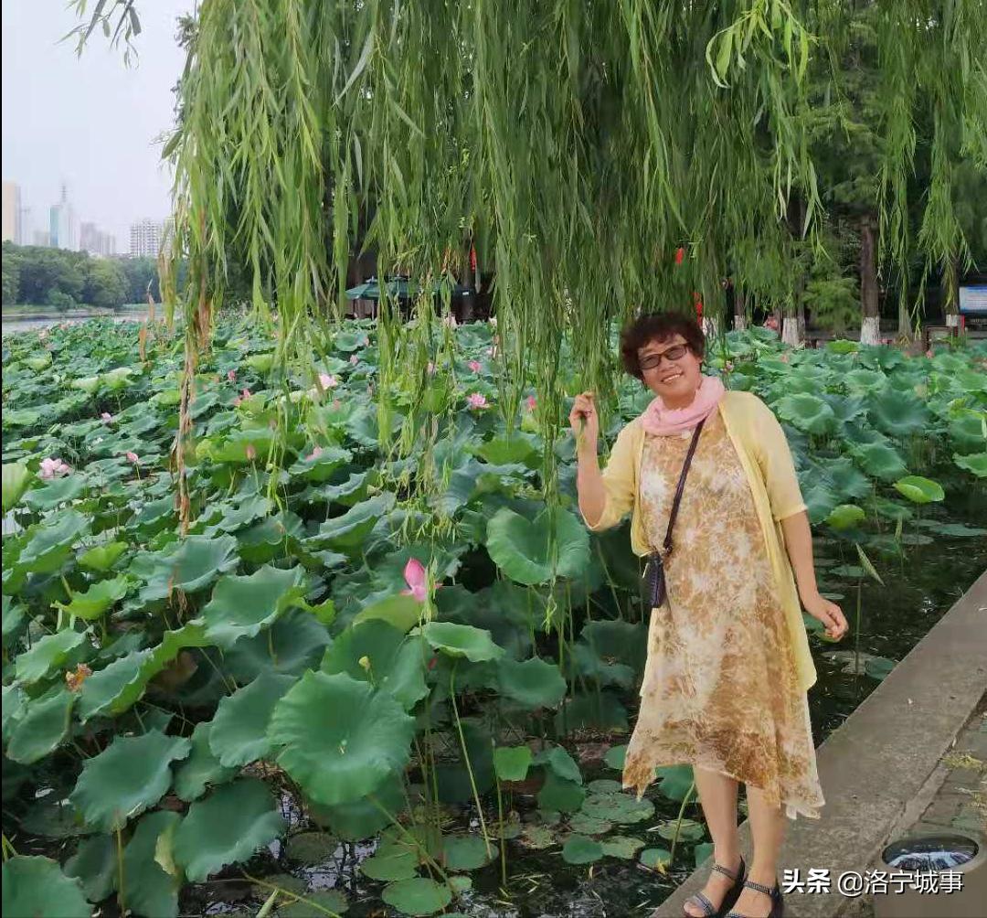 洛阳刘爱玲抖音,有洛阳刘爱玲的抖音吗