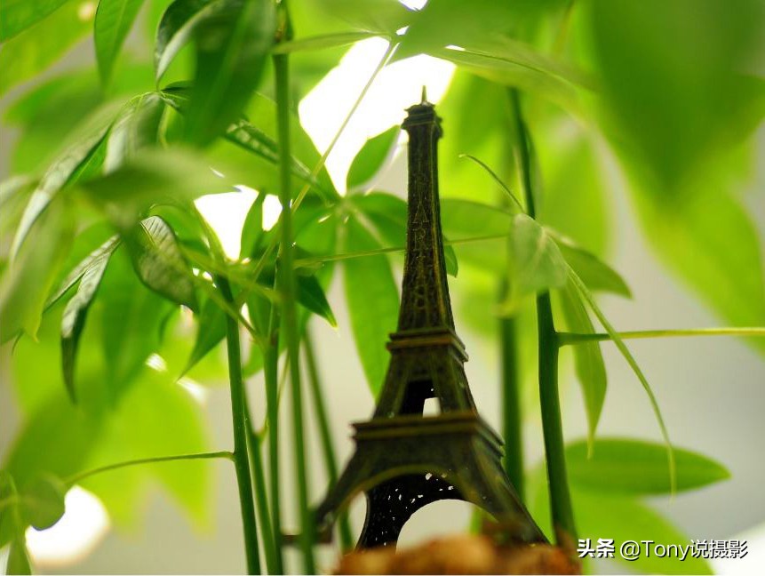 摄影技巧大光圈,摄影技巧虚化叠加