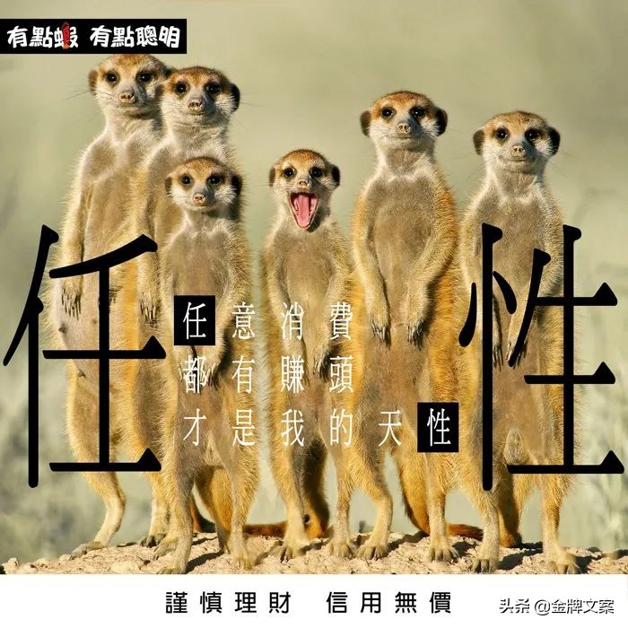 男人购物文案短句干净,购物文案朋友圈高质量