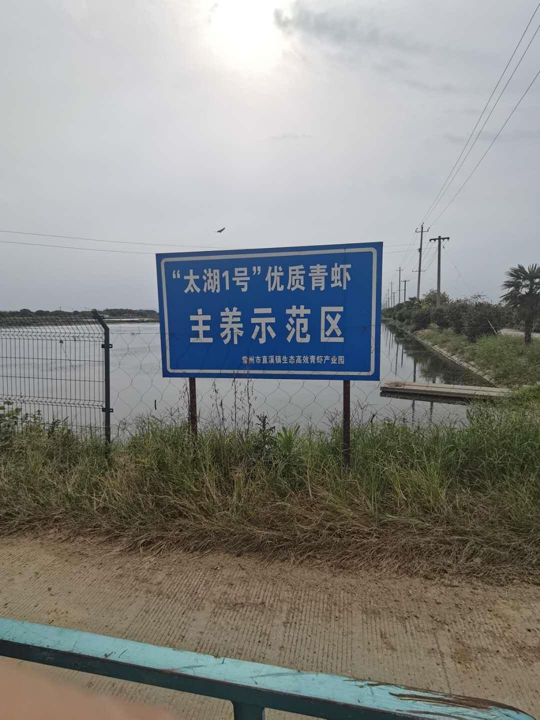 青虾养殖简介,青虾养殖成本及利润